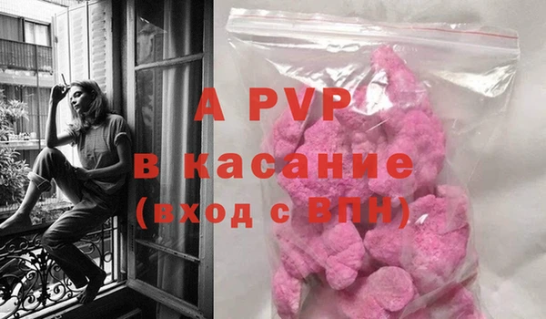 шишки Семикаракорск